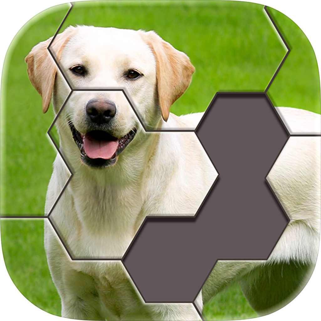 Apple App Store cover for Hexa Jigsaw Puzzle ®