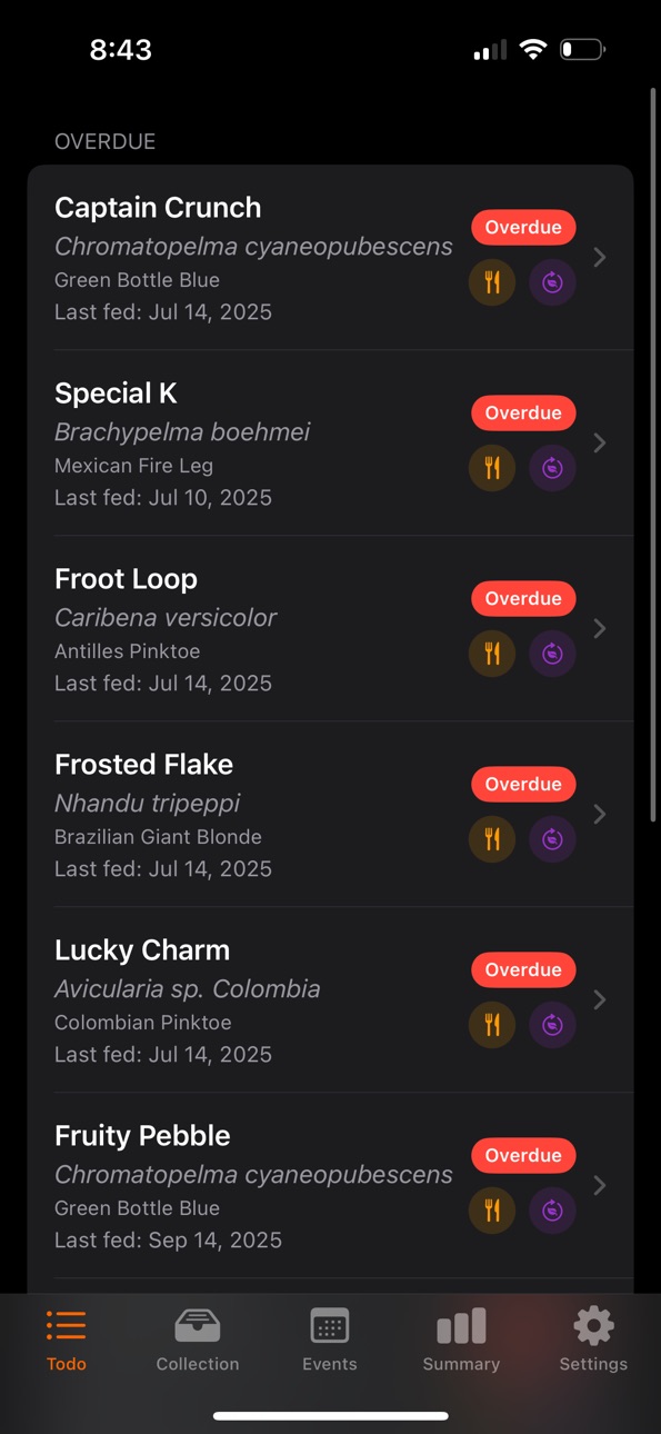 iPhone screenshot