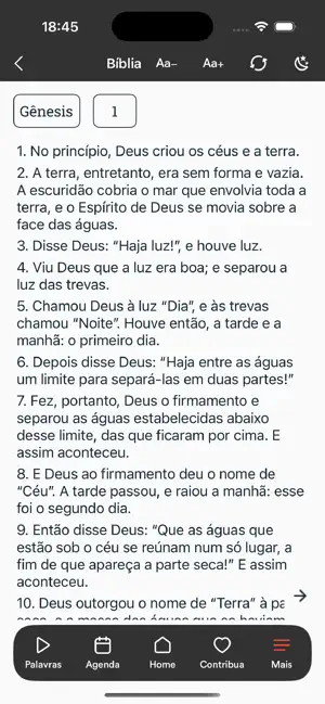 Metodista RP screenshot 4