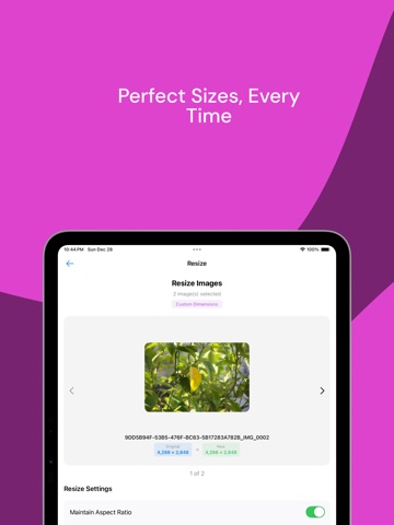 PixForge - Converter iPad screenshot