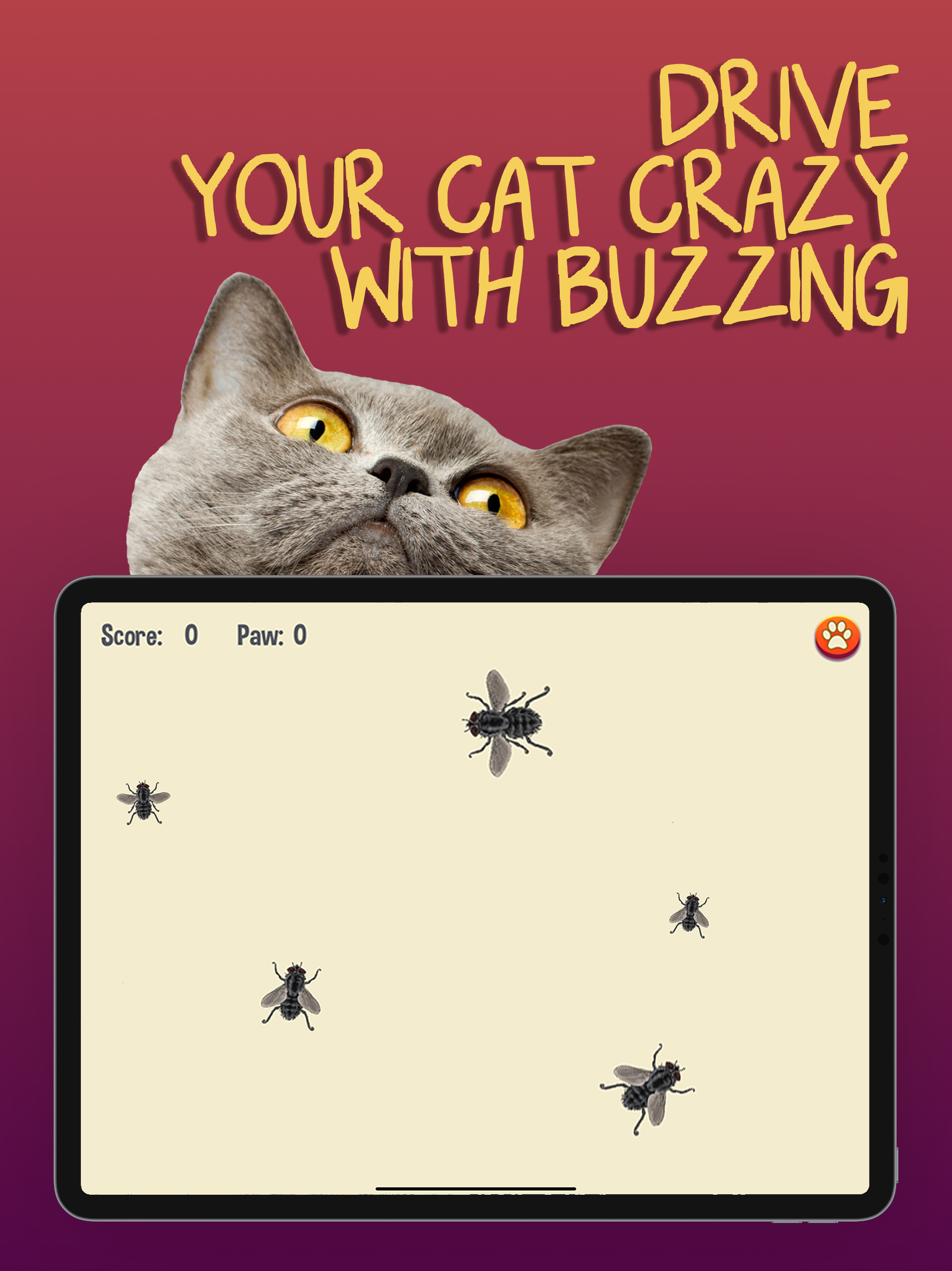 Cat Games