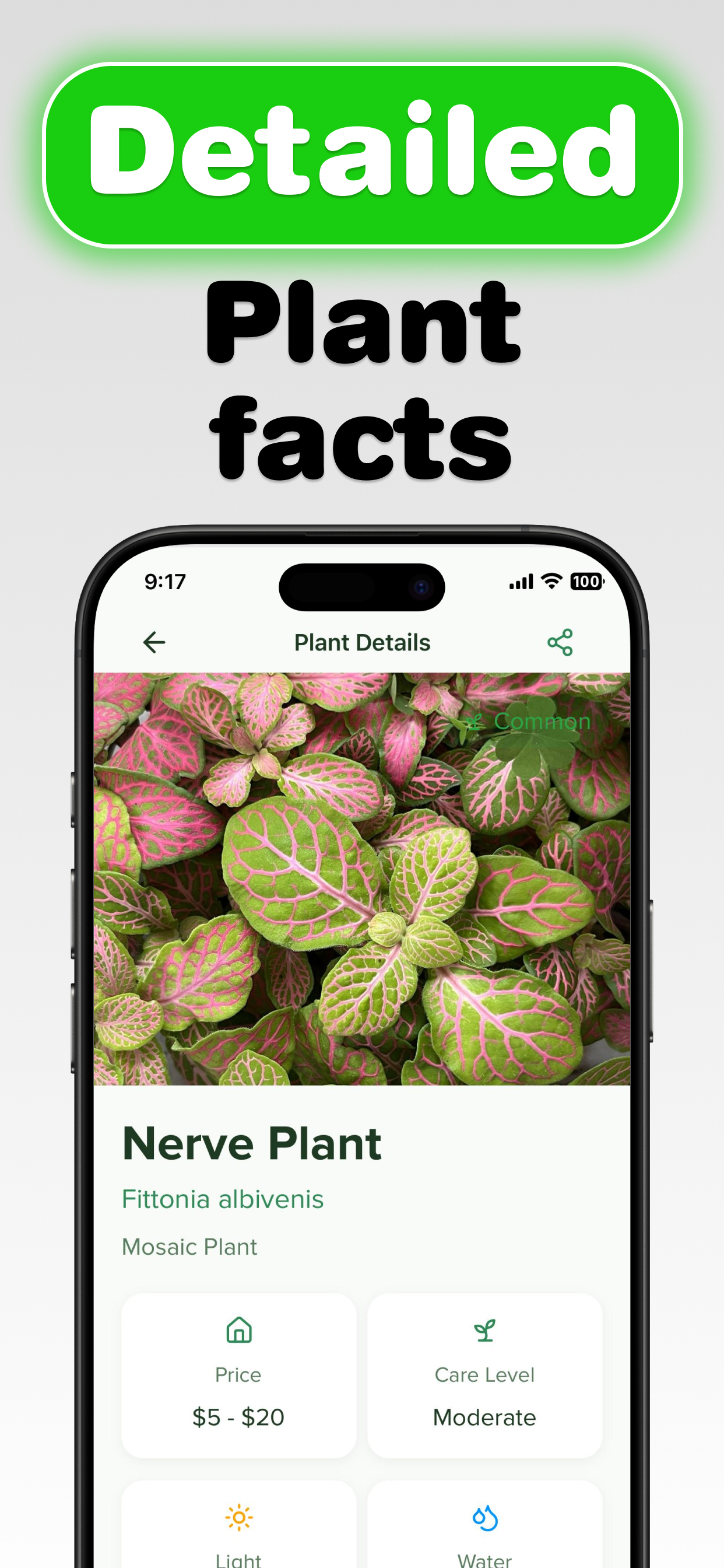 Plant Identifier - Plantasy screenshot 2