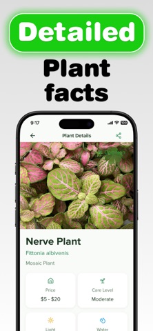 Plant Identifier - Plantasy screenshot