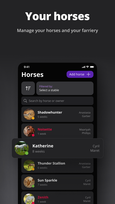 Orion Equus Screenshot