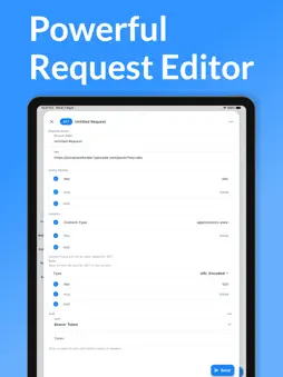 API & HTTP Client screenshot 11