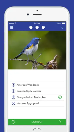IKnow Birds LITE iPhone-skjermbilde 4