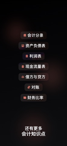 会计AI求解助手 screenshot