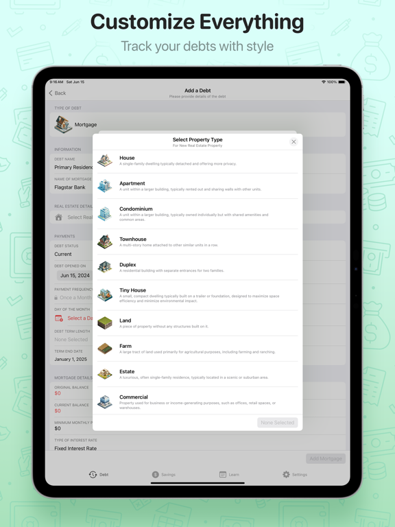 DownPay: Spending & Debts iPad screenshot 4 - Finance app