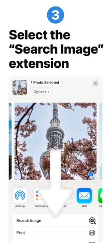 Reverse Image Search: Eye Lens Screenshot 9 of 9