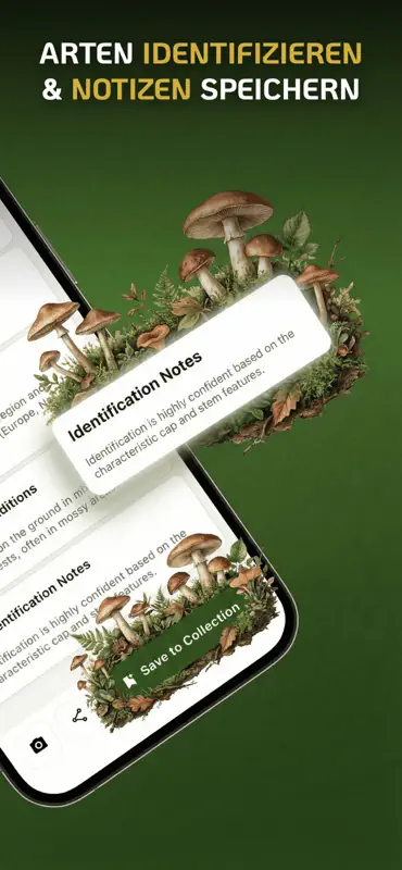 Pilze bestimmen: Erkennung screenshot 5 of 7