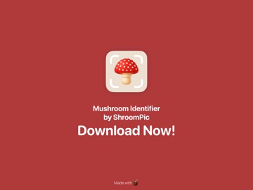 Mushroom Identifier: ShroomPic iPad screenshot