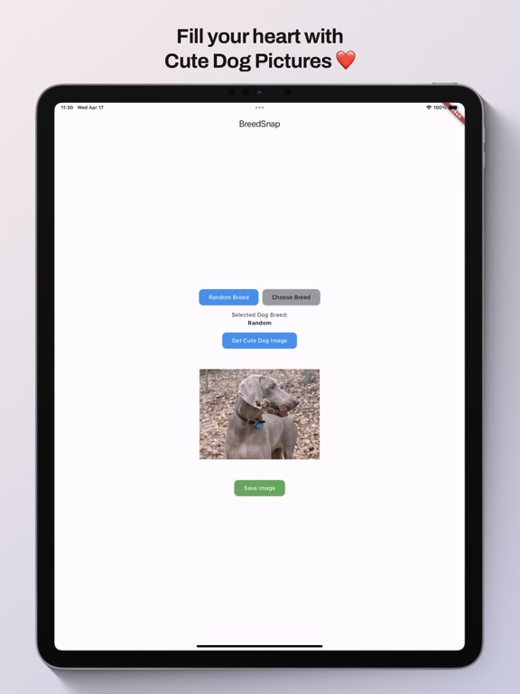 Screenshot #4 pour BreedSnap: Pet AI