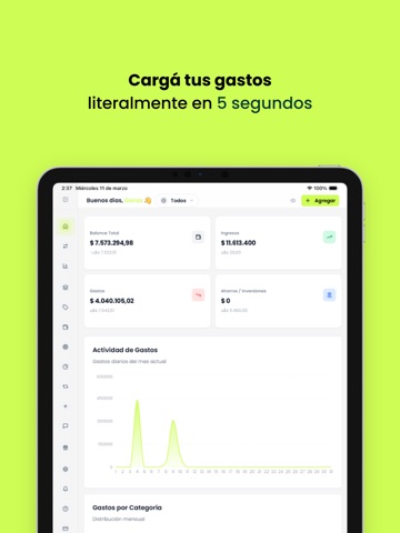 Finy - Finanzas con IA iPad screenshot