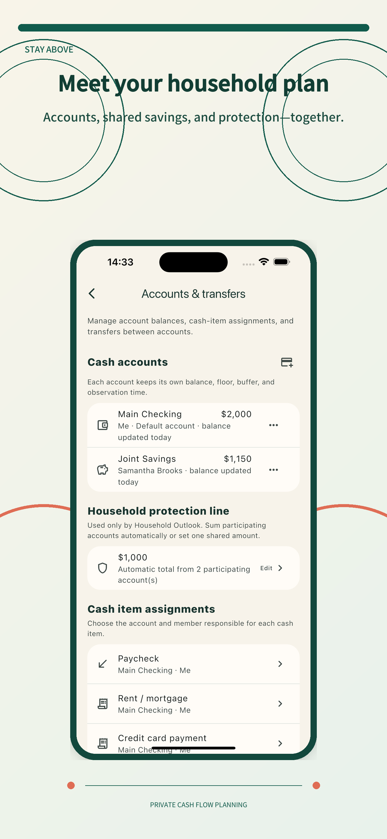 Stay Above: Cash Flow Forecast screenshot 3