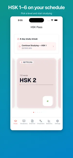HSK Pass screenshot 3