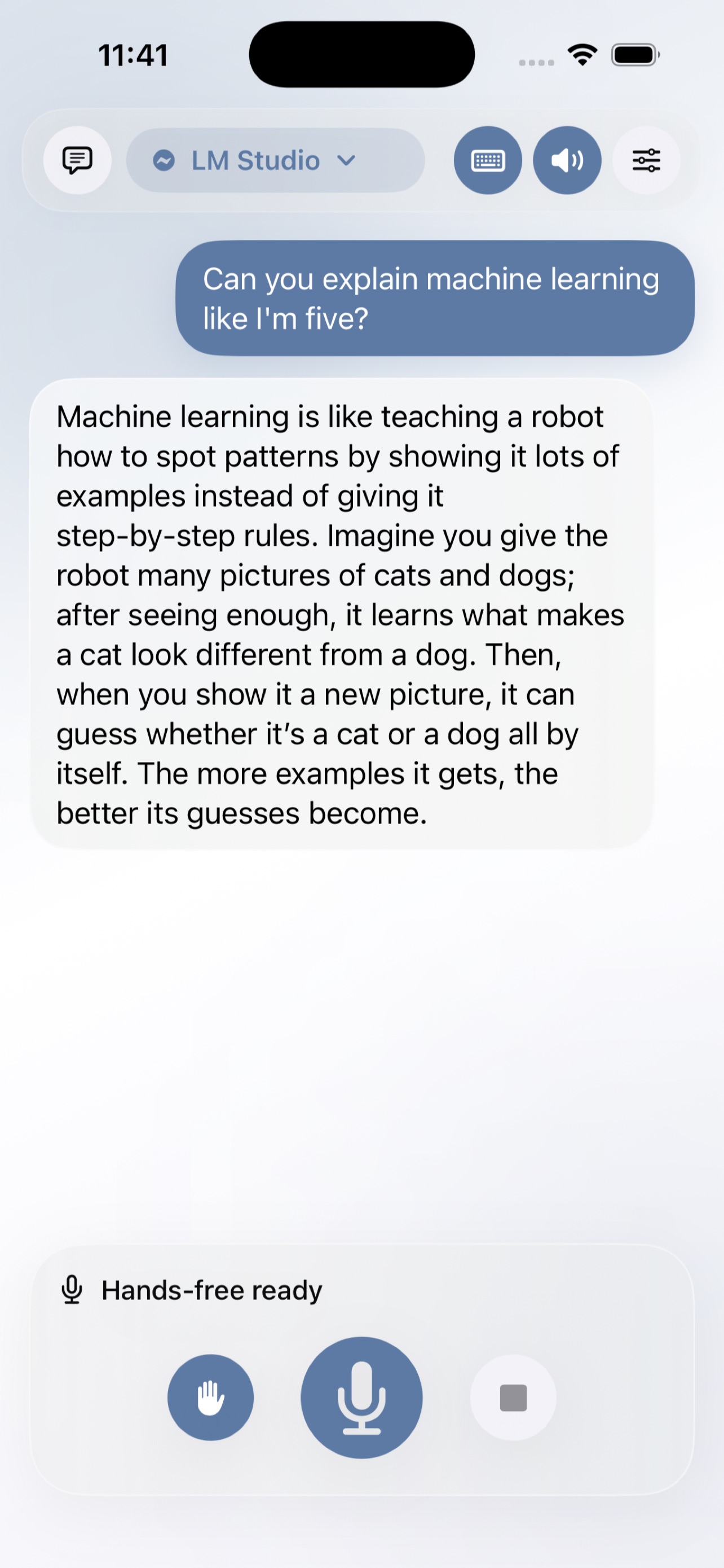 VoiceLM screenshot 5