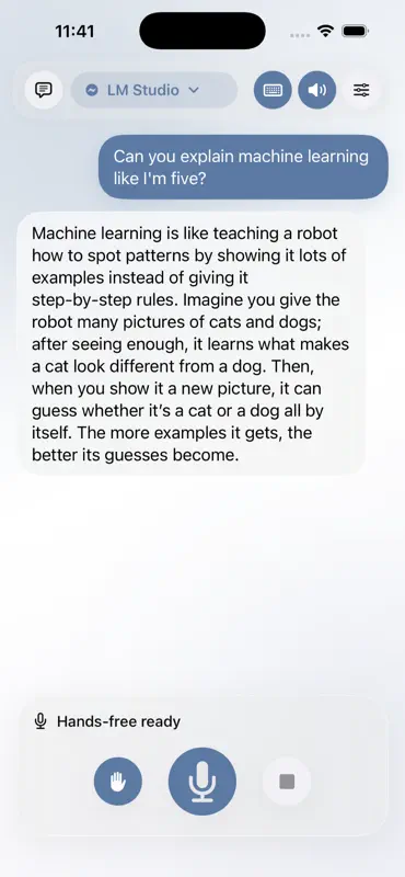 VoiceLM screenshot 5 of 10