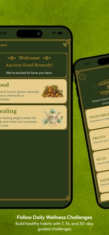 Ancient Food Remedy screenshot