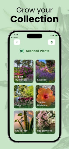 Picture Plant Identifier iPhone screenshot
