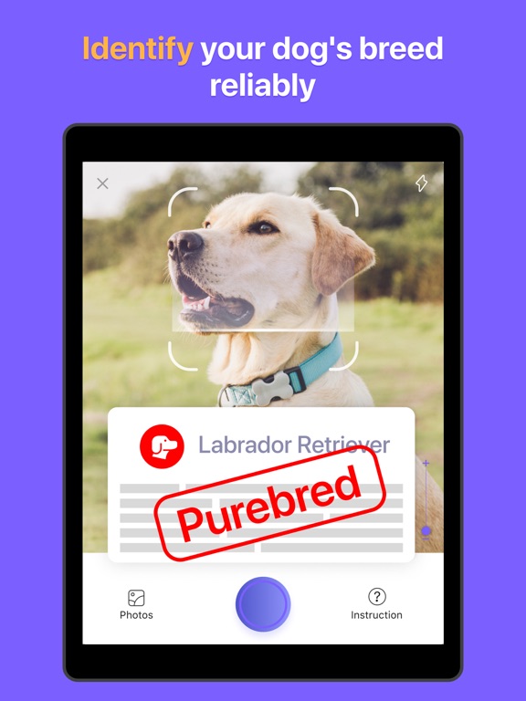 Screenshot #4 for Feedog: homemade dog food diet