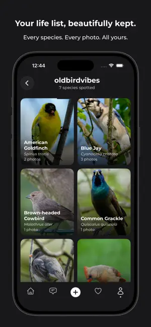 wildbirds: birding & community screenshot 3