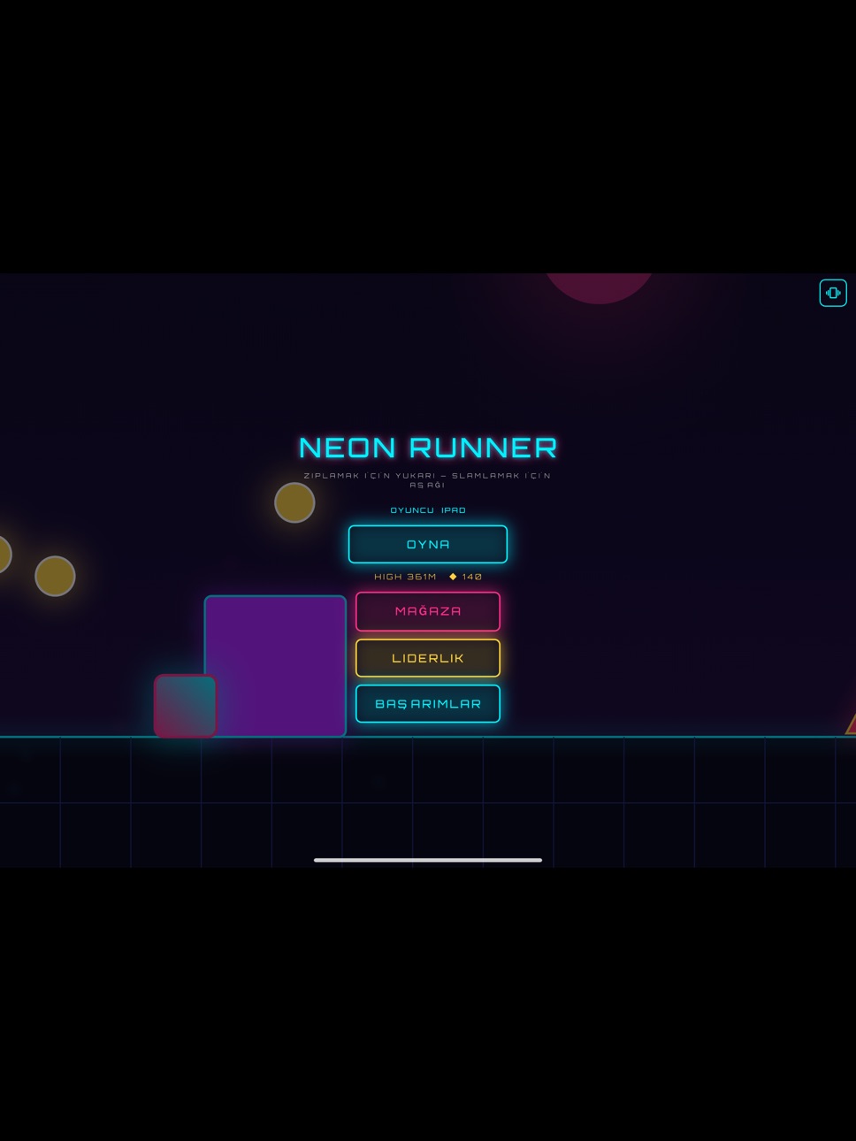 iPad screenshot