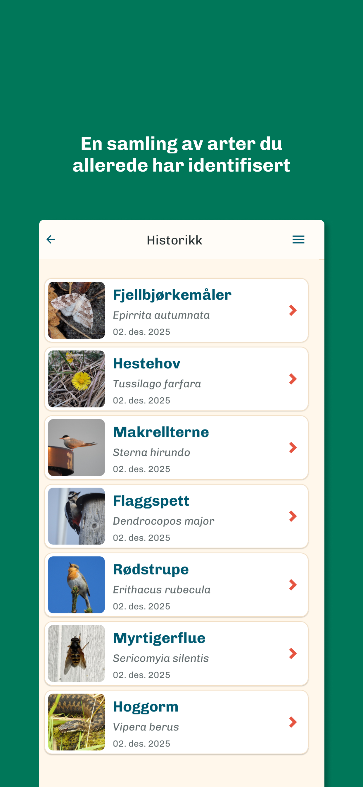 Artsorakel
