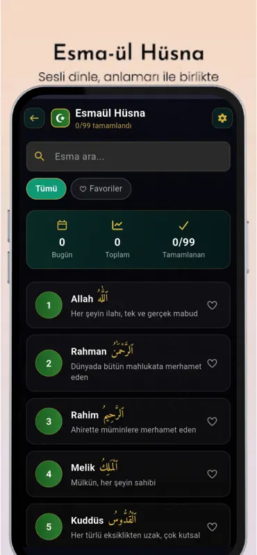 Hakkani Yolu Pro screenshot 6 of 8