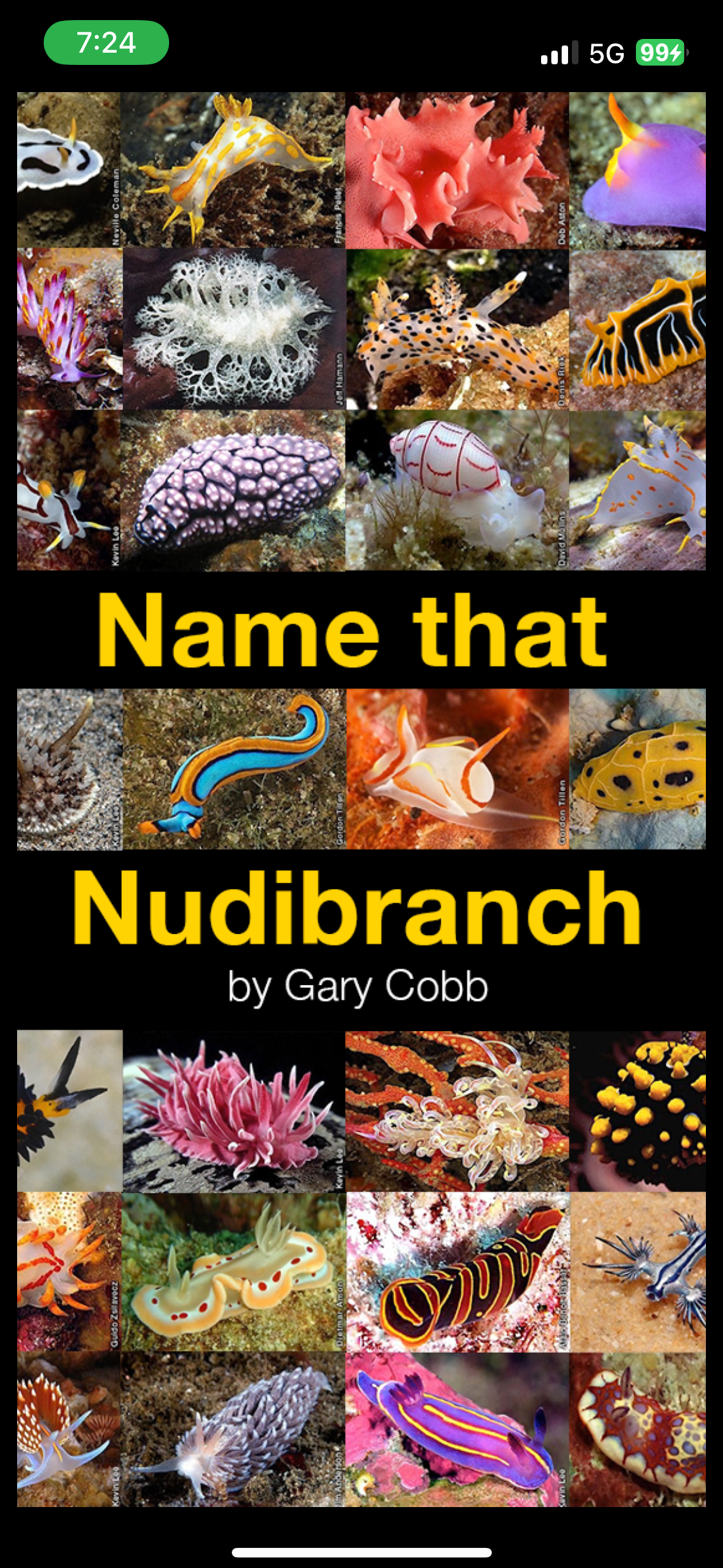 Name that Nudibranch