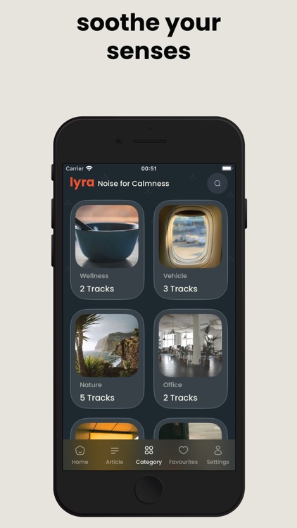 Lyra: Noise for Calmness