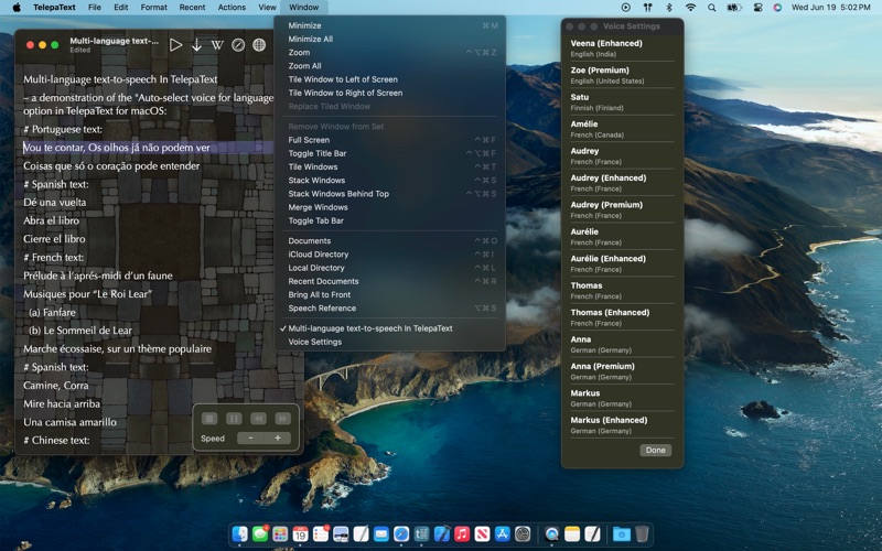 TelepaText - editor, speech screenshot