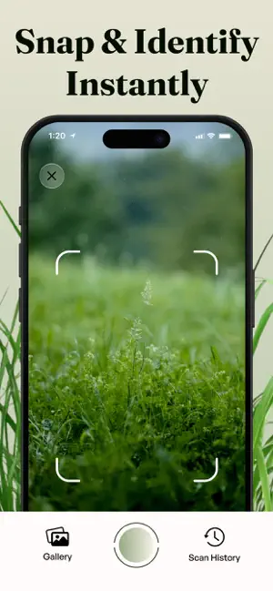 Grass Identifier - Grass AI screenshot 2