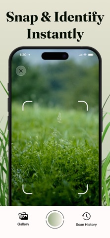 Grass Identifier - Grass AI iPhone screenshot