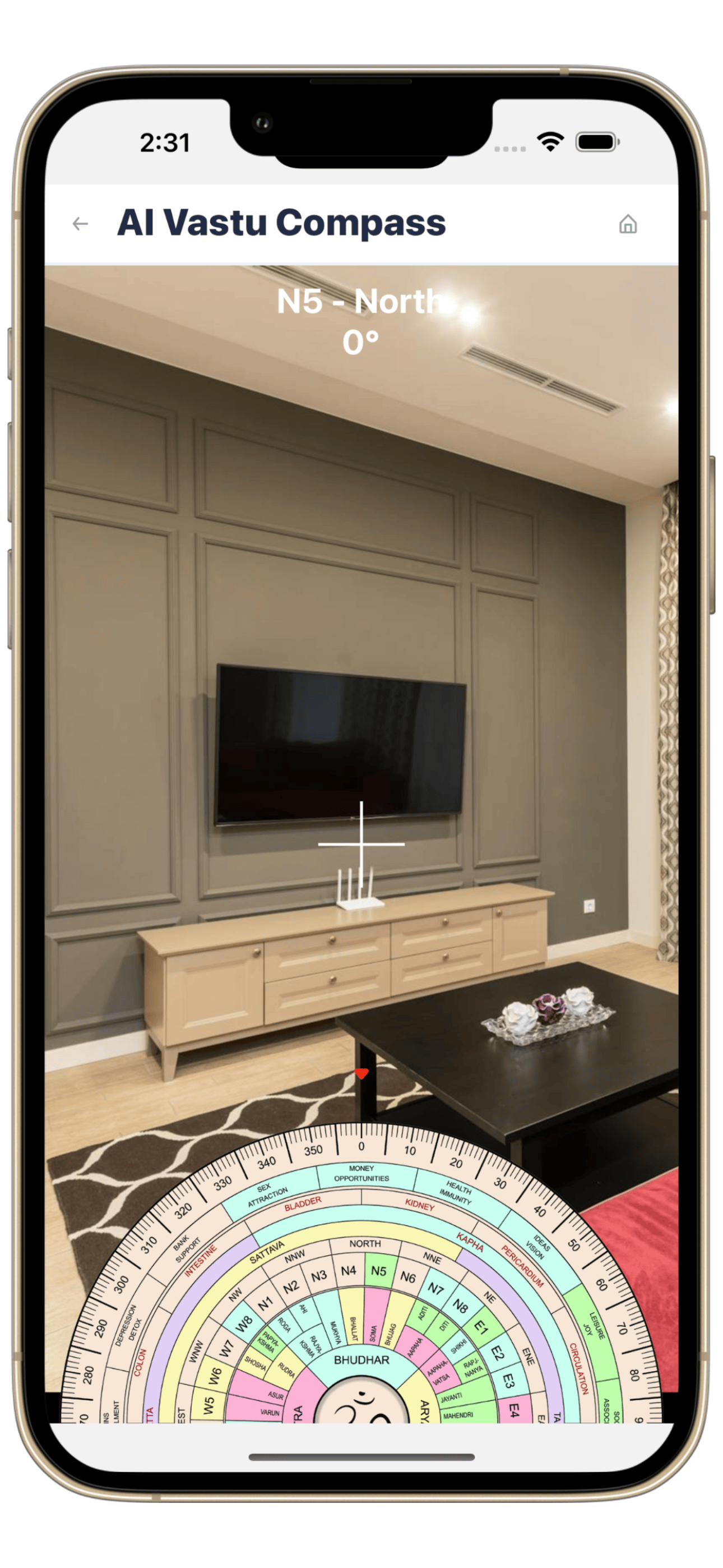AI Vastu Compass