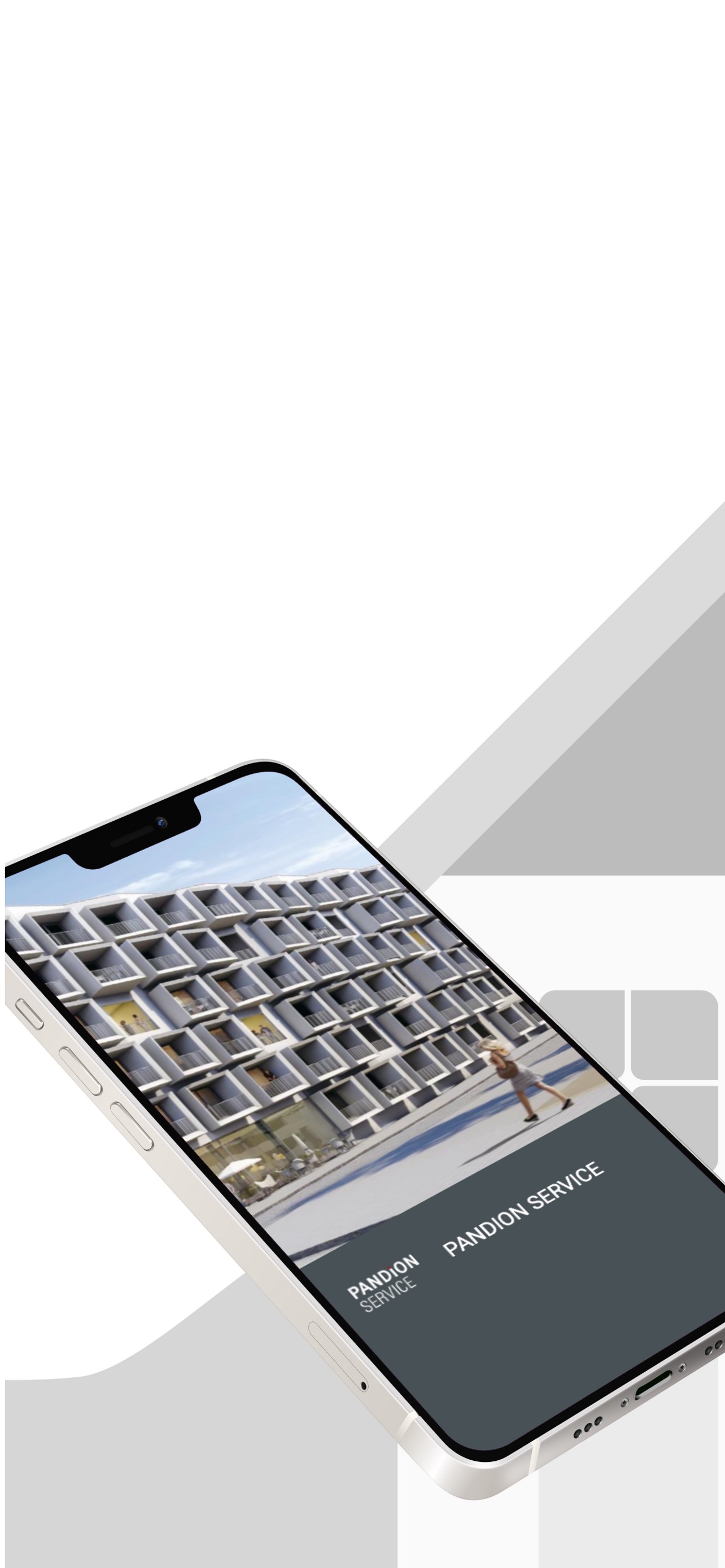 Screenshot 1 of PANDION SERVICE