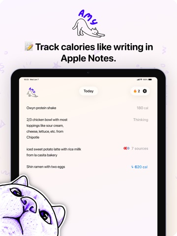 Amy Food Journal iPad screenshot