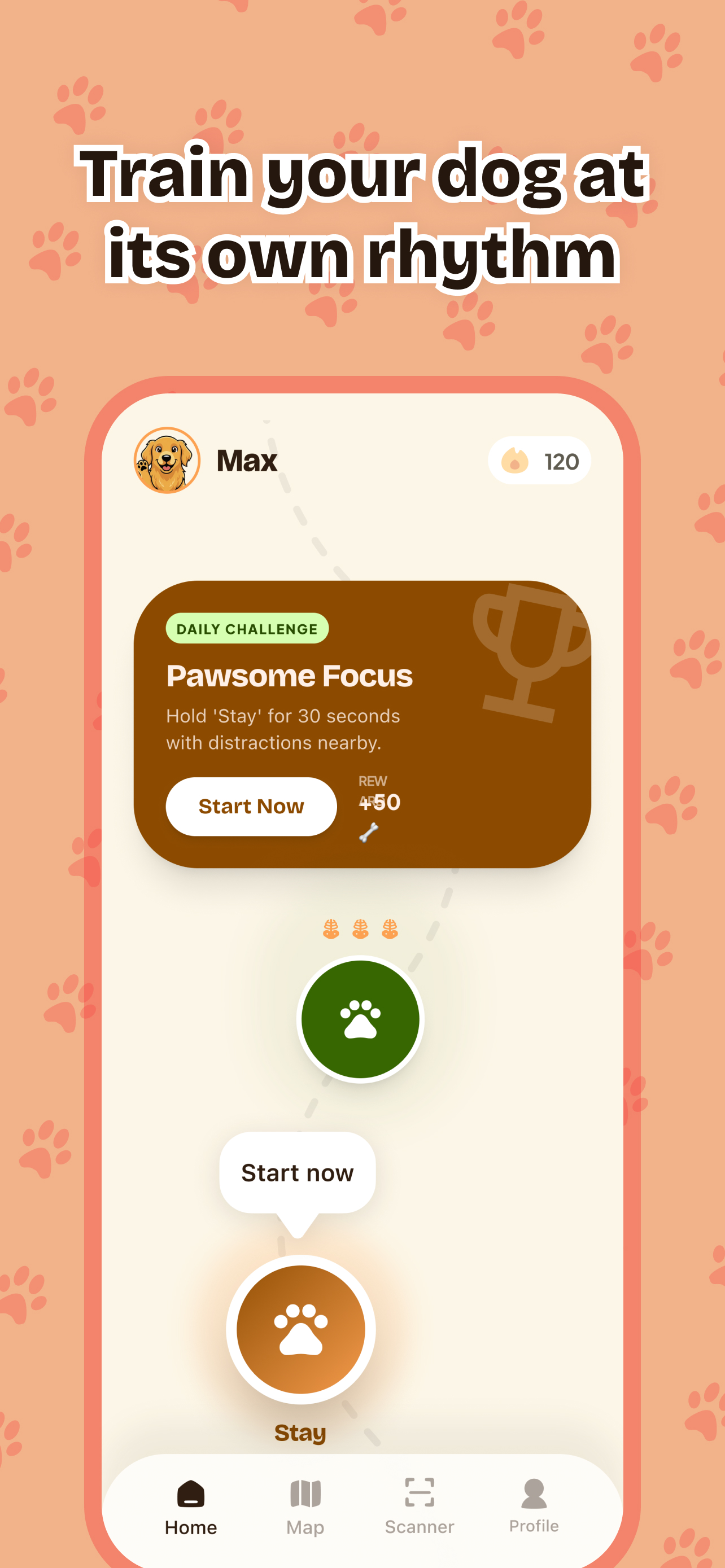 GoodBoy: Master Your Dog