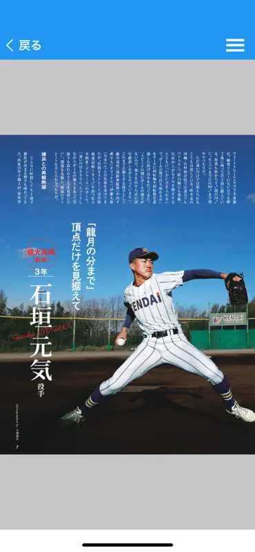 報知高校野球（ほうちこうこうやきゅう） screenshot 4 of 5