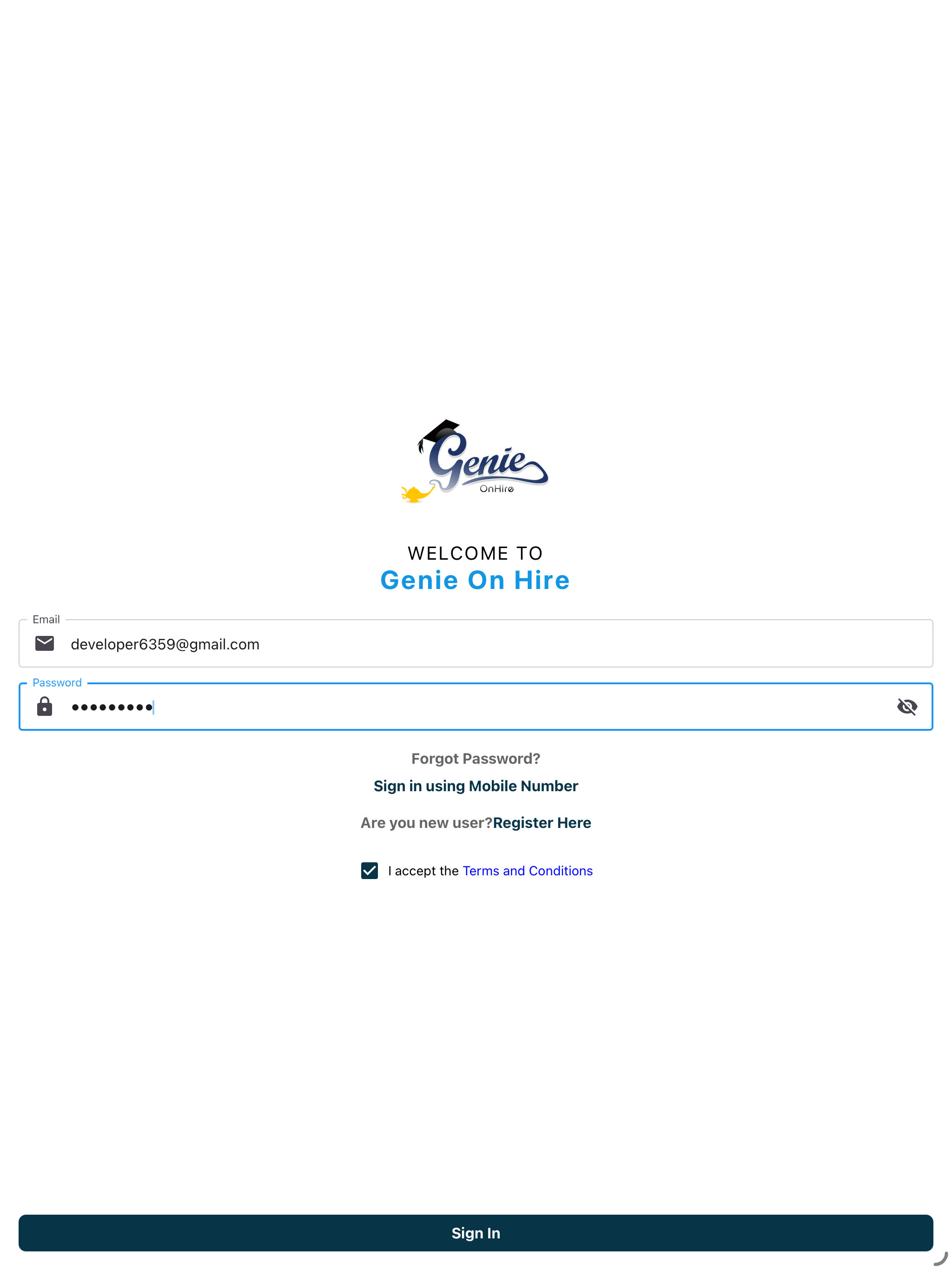 Genie On Hire