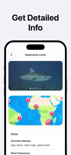AI Fish Identifier by Photo screenshot 3