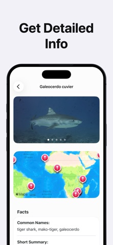AI Fish Identifier by Photo iPhone screenshot