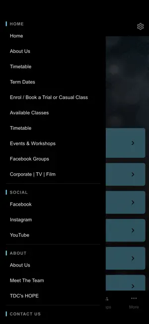 The Dance Collective screenshot 3