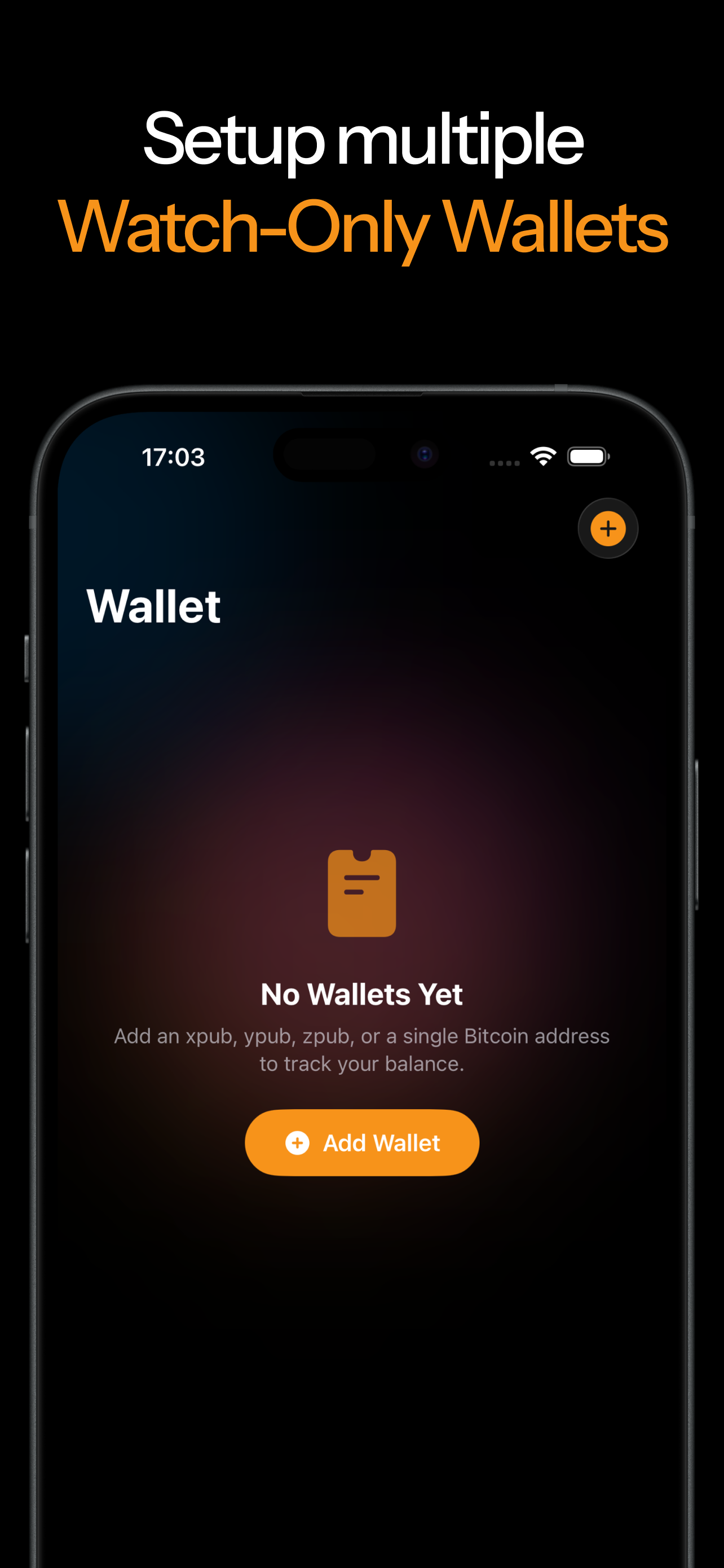 Bitcoin Insight: Wallet & Data