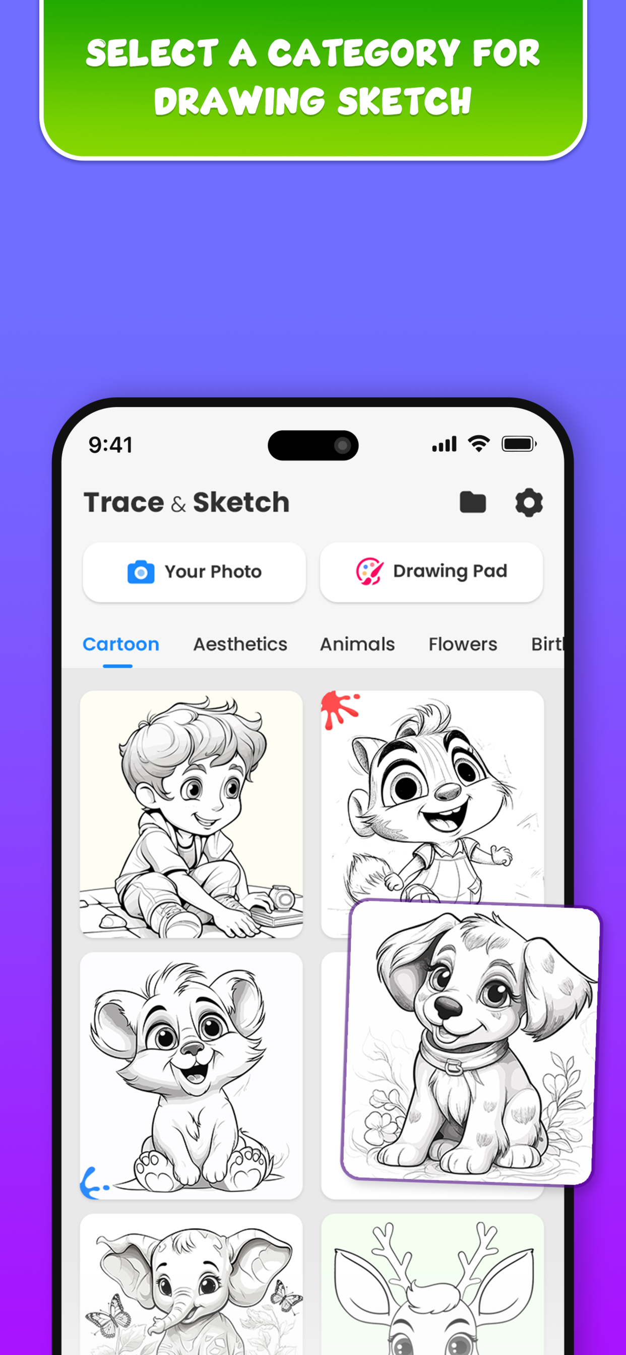 Draw - Trace & Sketch