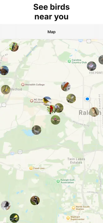Identify Birds: Screenshot 10 von 10