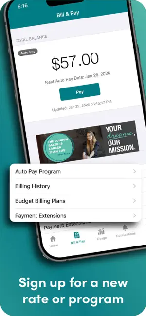 CoServ screenshot 4