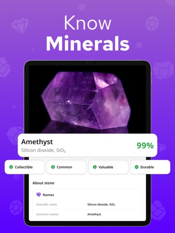 Rock Identifier – Rockium iPad screenshot