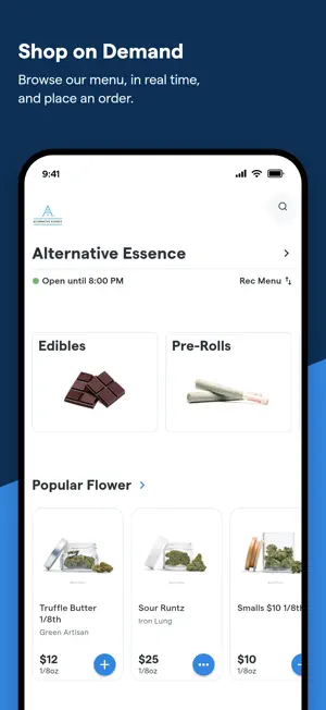 Alternative Essence screenshot 1
