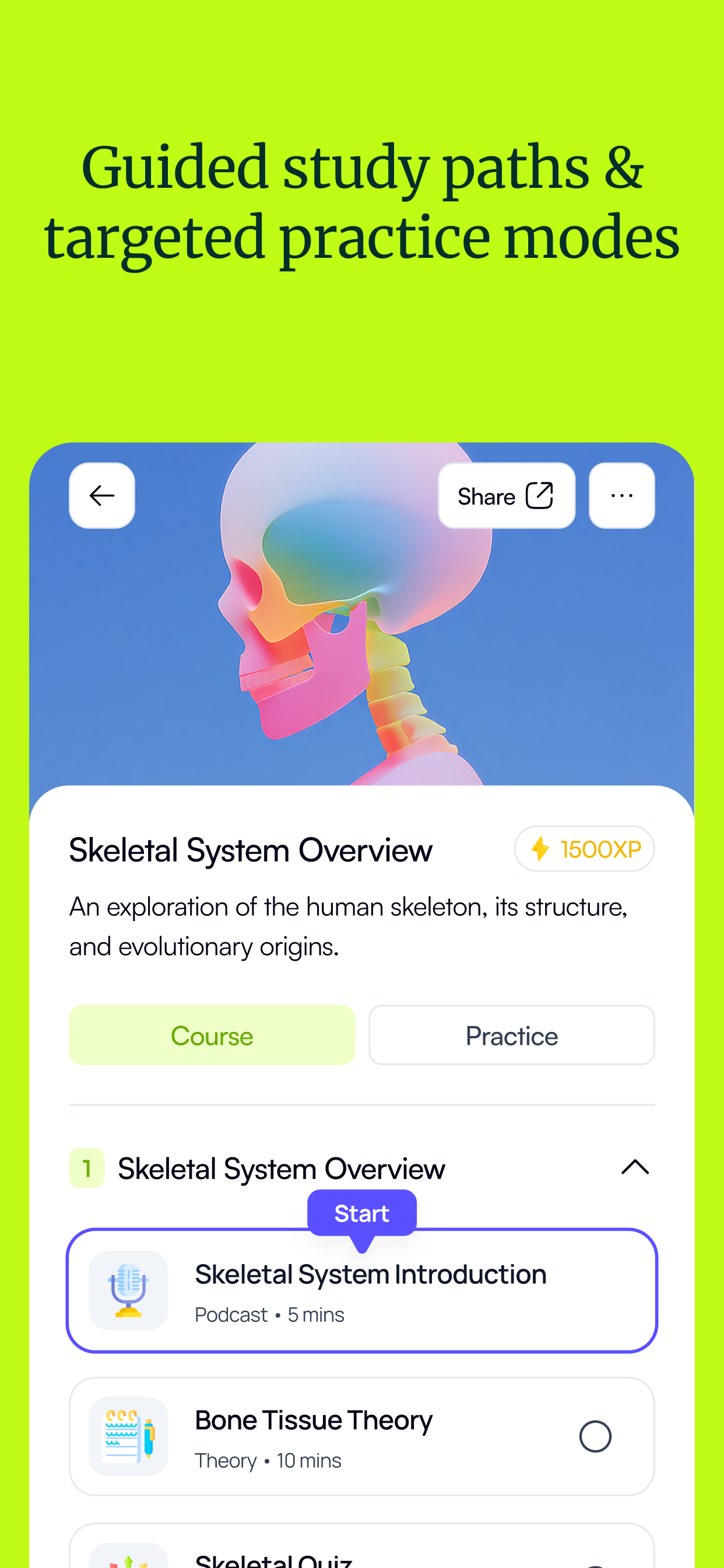 Quizgecko: AI Flashcards