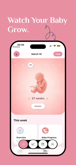 Pregnancy Tracker & Due Date screenshot 1